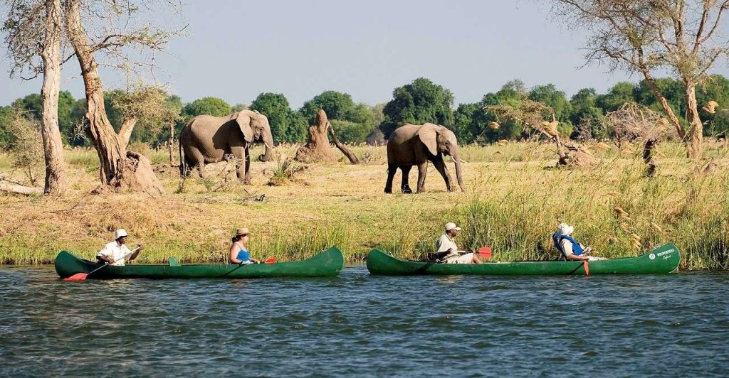 mana pools
